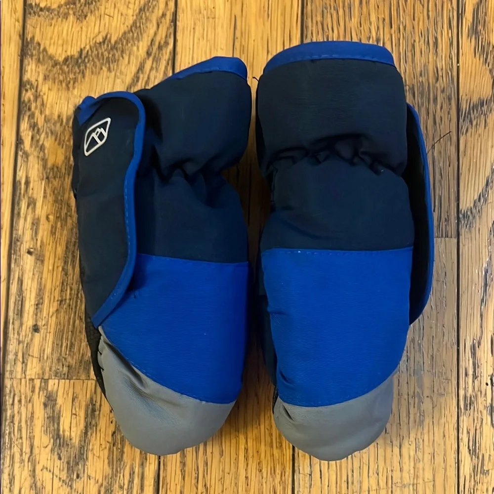 Blue Mittens